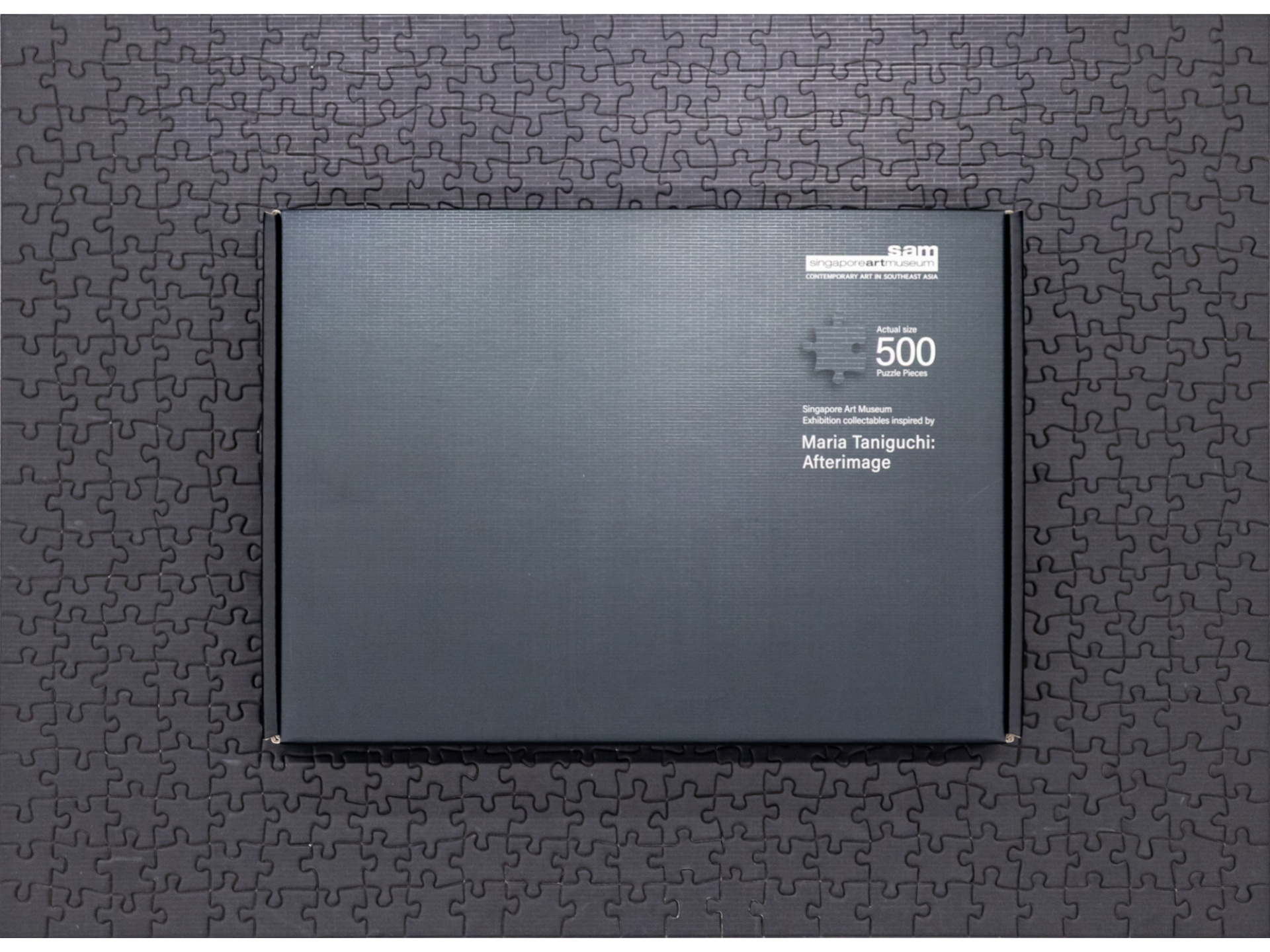 Afterimage Puzzle Set