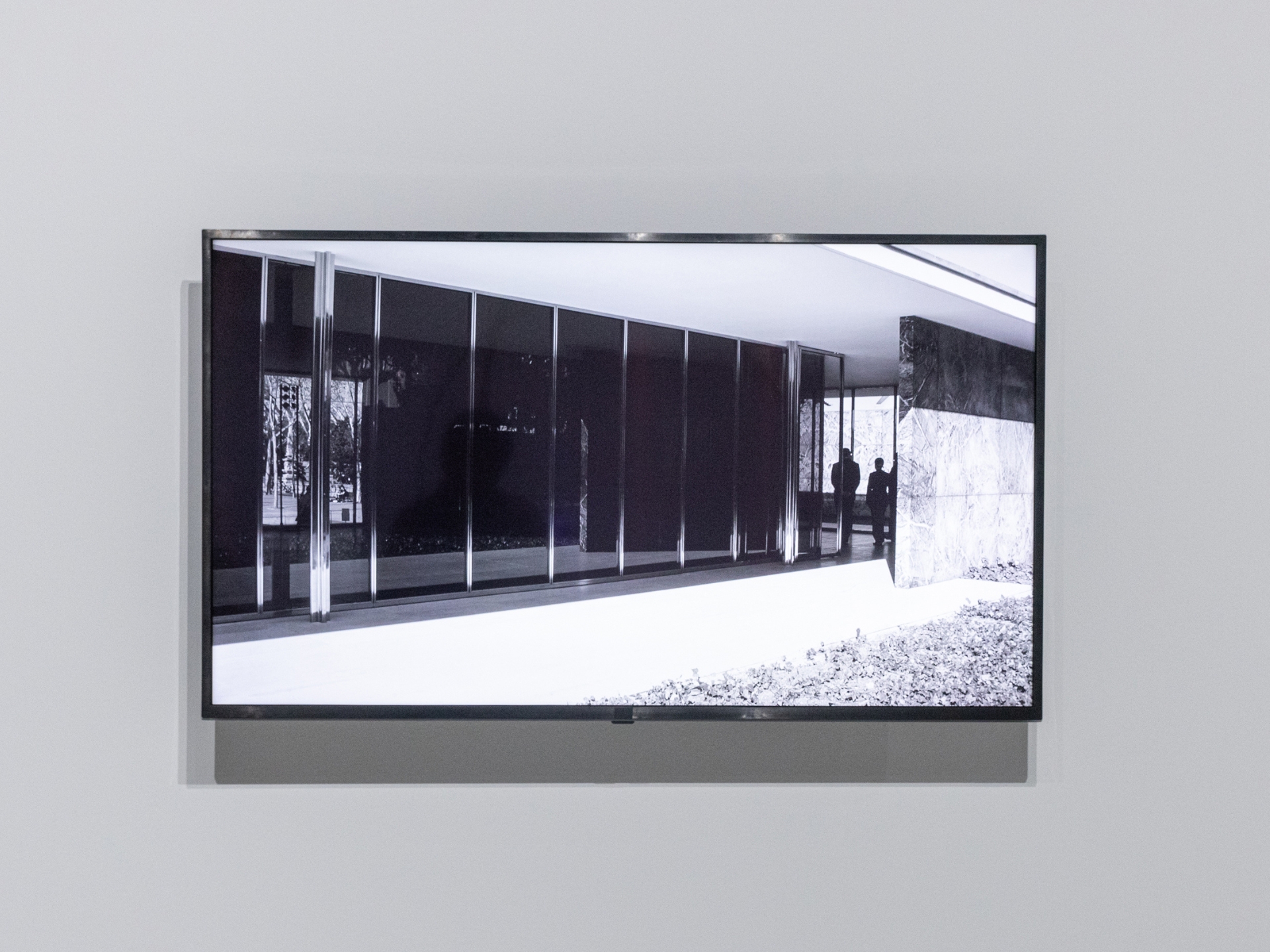Mies 421