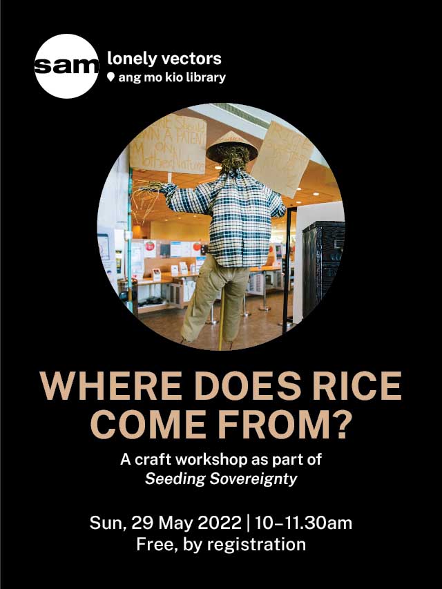 Where does rice come from?