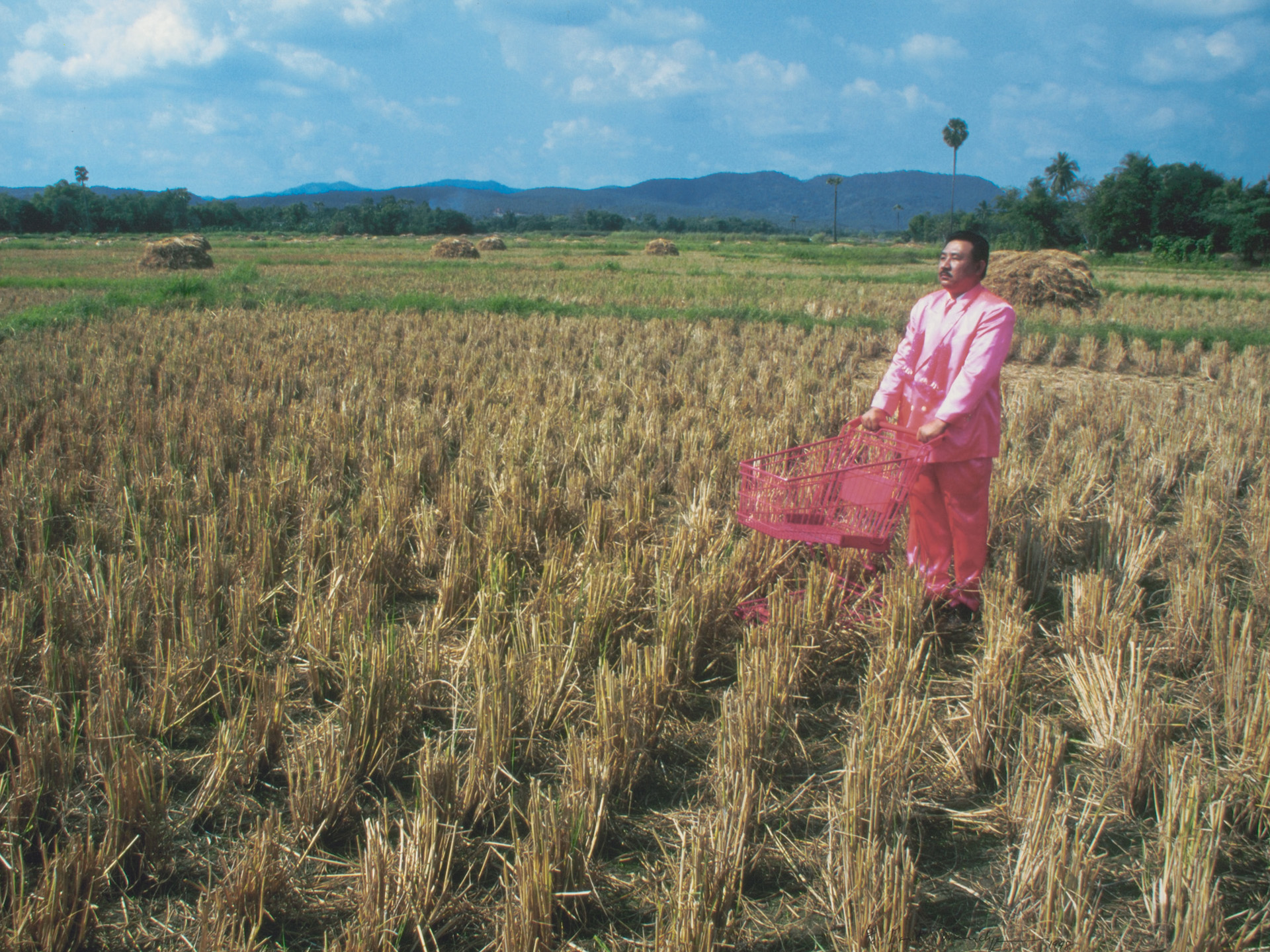 Pink Man on Tour #6 (Amazing Rice Field, Northern Thailand)