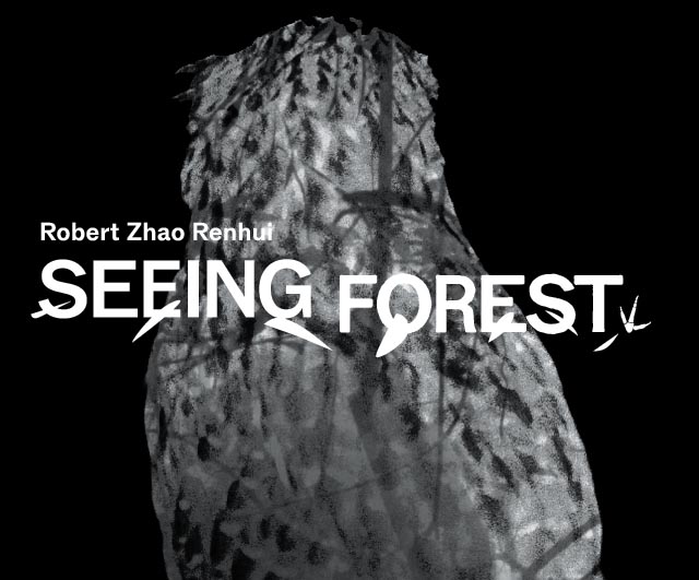 Seeing Forest