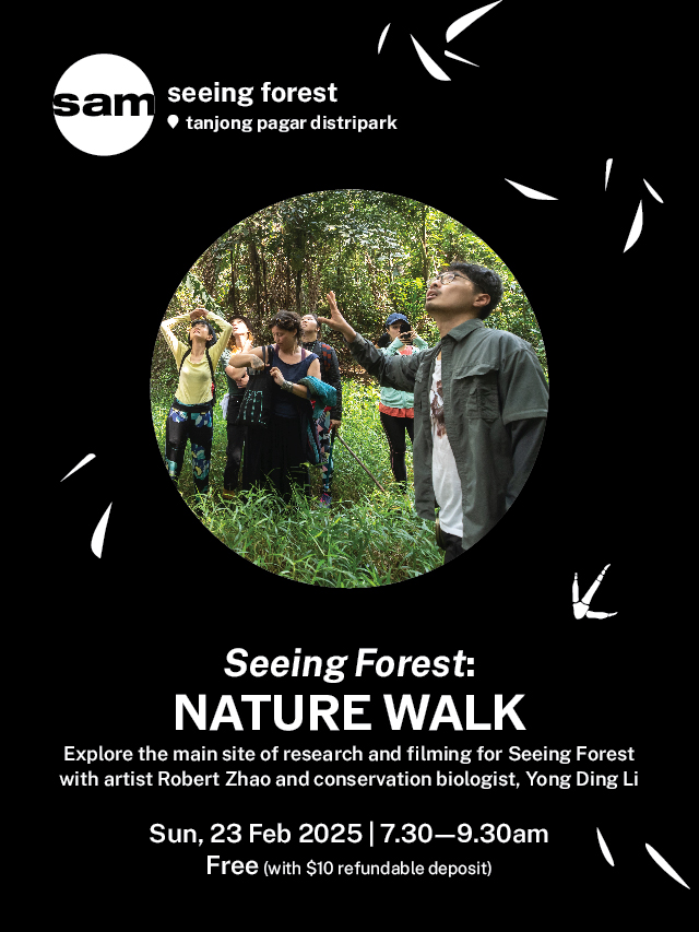 Seeing Forest: Nature Walk