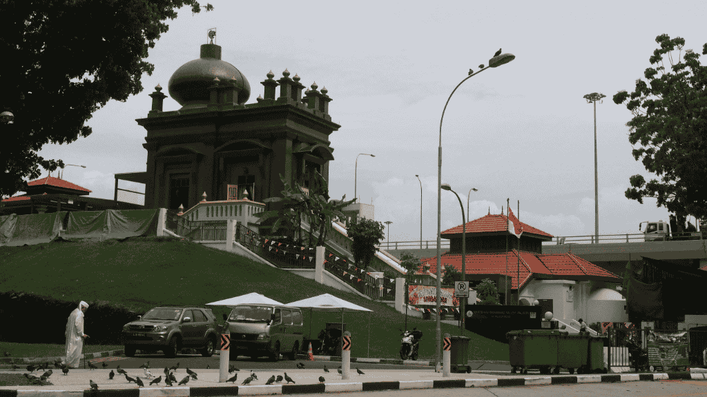 Fig. 1: Pigeons flocking at the carpark beside Keramat Habib Nuh. © 2015, Faisal Husni