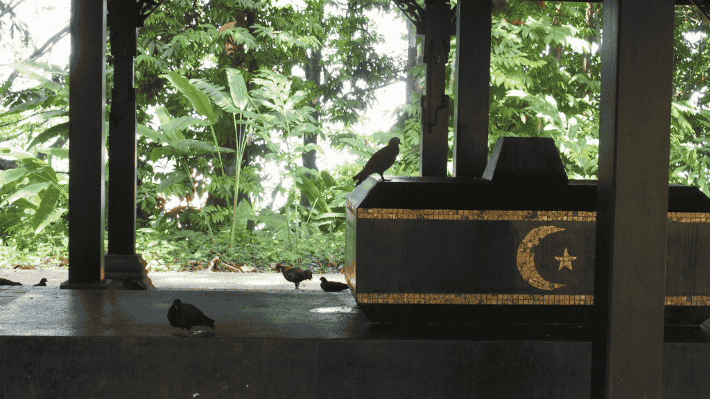 Fig. 5: Pigeons at Keramat Iskandar Shah © 2017, Faisal Husni