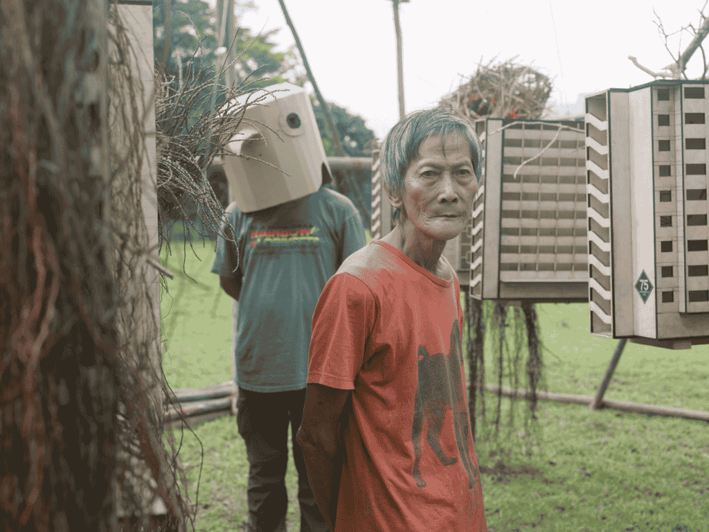 Film stills of Migrant Ecologies Project’s '{if your bait can sing the wild ones will come} Like Shadows Through Leaves' (2021) as part of the Learning Gallery at SAM at Tanjong Pagar Distripark. Image courtesy of Singapore Art Museum.