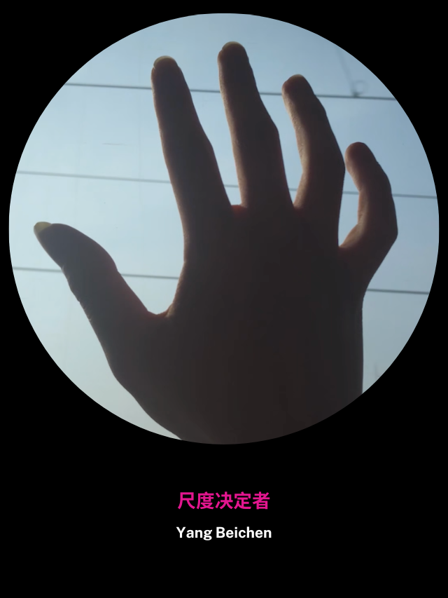 尺度决定者