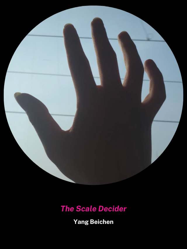 The Scale Decider