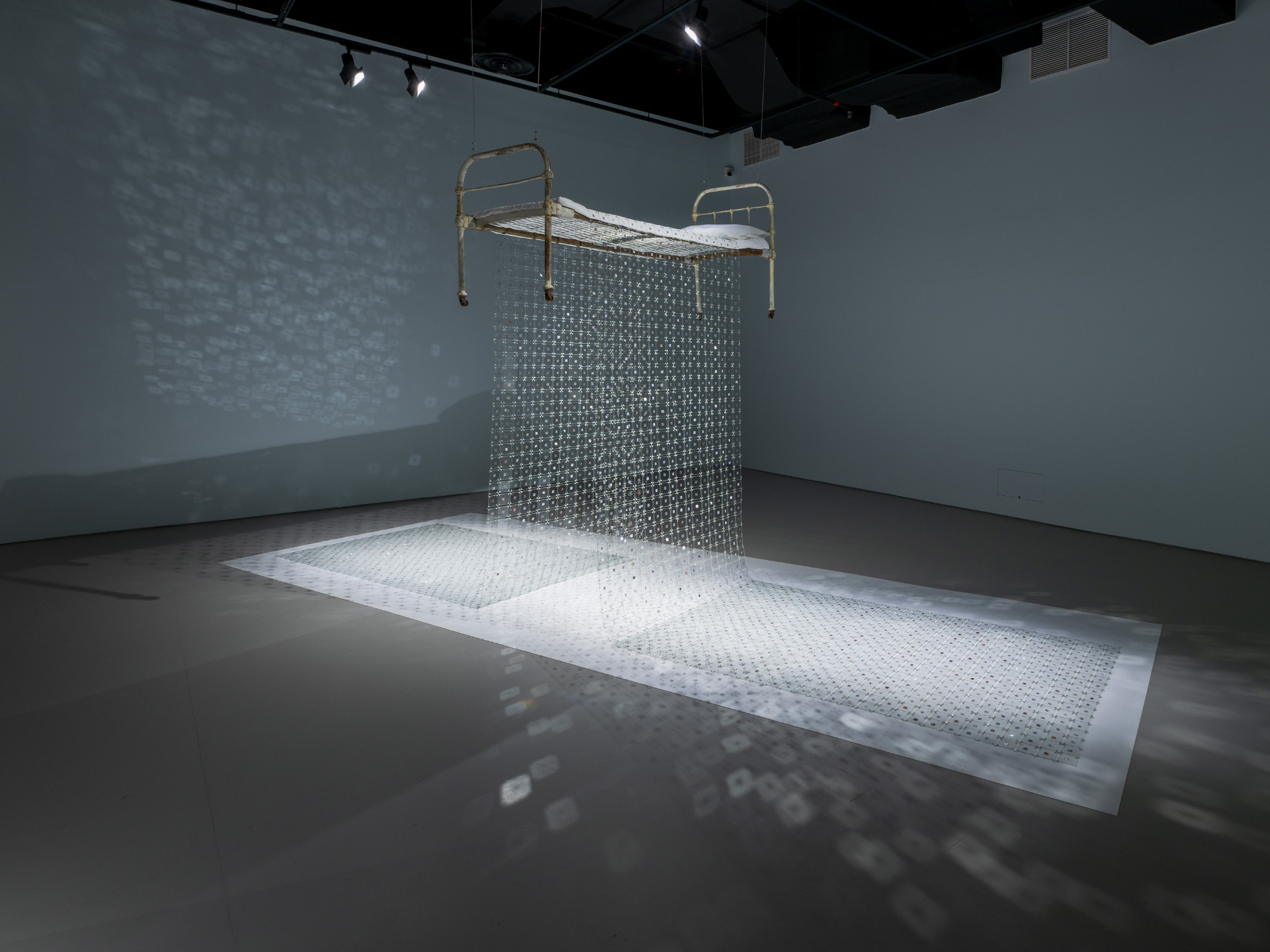 Third World Extra Virgin Dreams