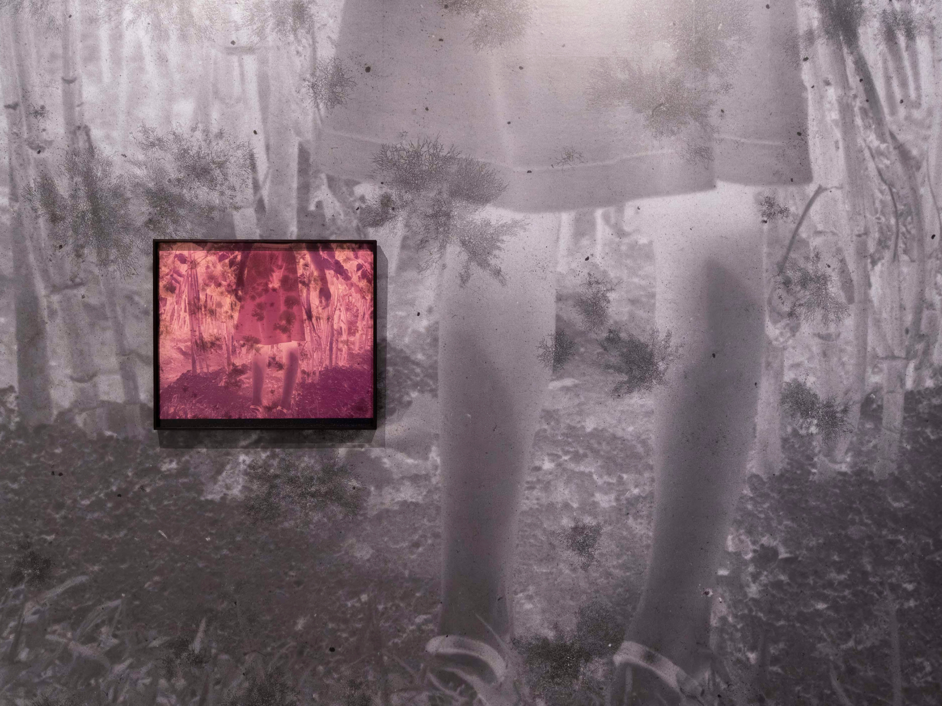 Untitled (sister)