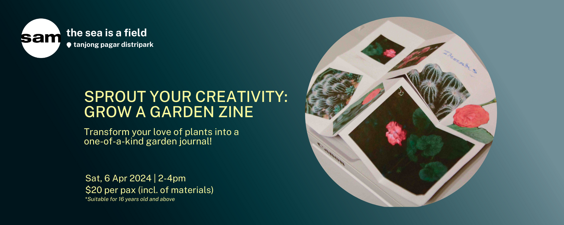 Sprout Your Creativity: Grow a Garden Zine